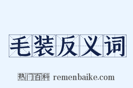 毛装反义词是什么意思的图片
